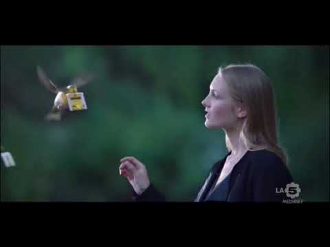 Infuso Zenzero e Limone 20 filtri